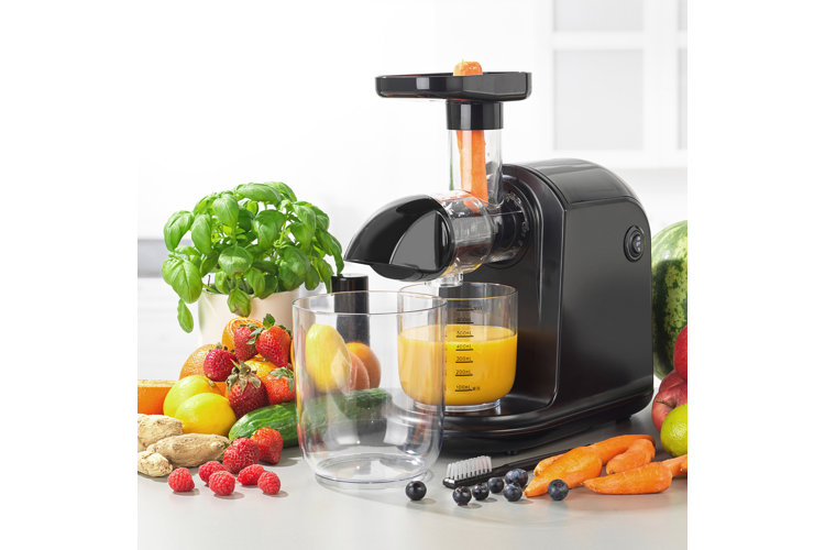 Types of Juicers the Best One for You Wayfair